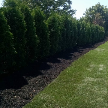 Sod Installation, Brush Removal, Planting, Mulching and Trimming