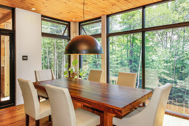 Dining room - contemporary dining room idea in Other