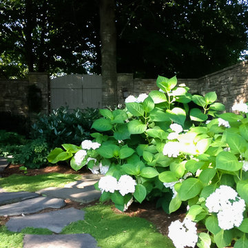 Interior Garden Area