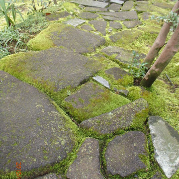Japanese Gardener Mr. Norihisa Okada