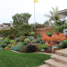 darcy4935's ideas