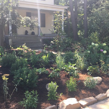 Front yard garden and walkway