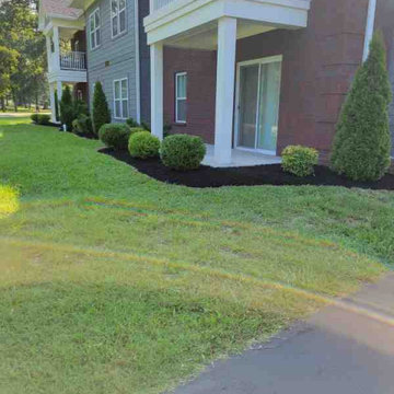 Alberto Alavez Professional Lawn Services LLC 3
