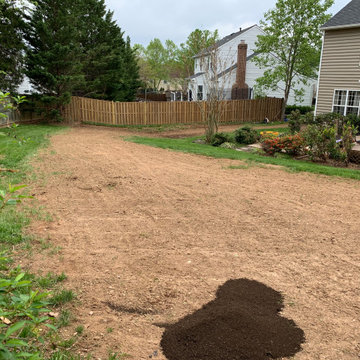 Lawn renovation
