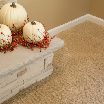 Family Room Carpet & Vinyl Plank