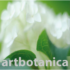 - artbotanica - Design  Highlights for home