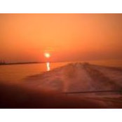 Steve Laders foto