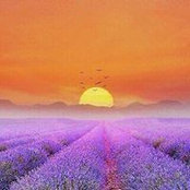 Taahir Ragie's photo