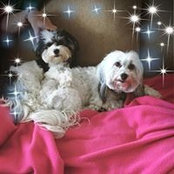 Foto von Tari Dunning Mayberry