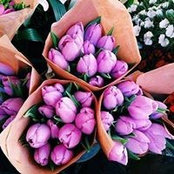 Aya El Shwikh's photo