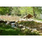 Nusret Demiroglu's photo