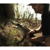 Franklin Schilling's photo
