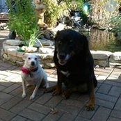 Cyndi Rojic's photo