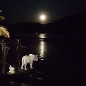 Nancy Rampson's photo