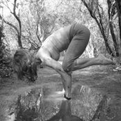Toni DiVincenzo's photo