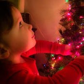 Allison Miall's photo