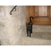 Anaïs Belham's photo
