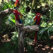 Thora Ndembe-Iso's photo
