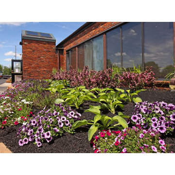 All New Plants
