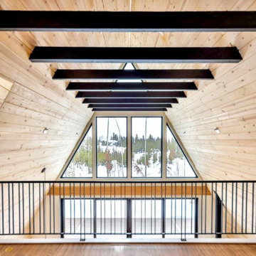 Colorado Mountain A- Frame