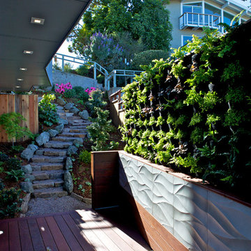 Twin Peaks Modern