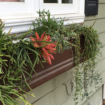 Container Gardens