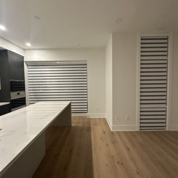 Zebra blinds and Blackout roller shades