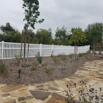 Mission Viejo Back Yard