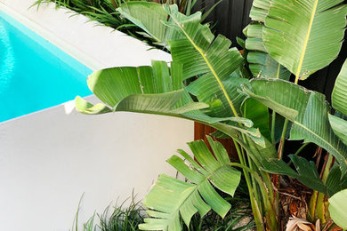 Mid-sized contemporary backyard rectangular aboveground pool in Sydney.