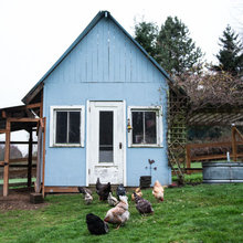 critter pasture