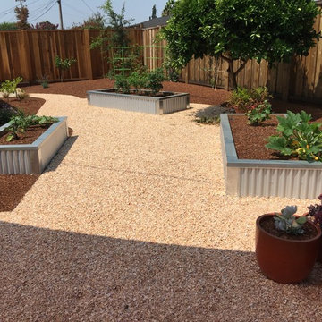 New updated corrugated metal planters, fruit tree espaliers, and bright orange c