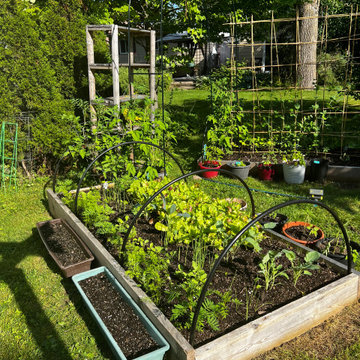 Bryan Drive Garden Refresh
