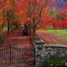 Driveways