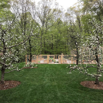 Elegant Vegetable Garden