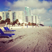 Sarah Talkins's photo