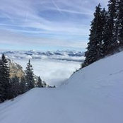 Cedric Genton's photo