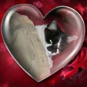 Diane Faratro's photo