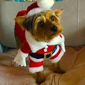 Cindy Adkins's photo