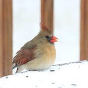 Audrey Sandore's photo