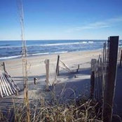 Dee Simko's photo