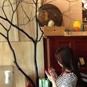 Lisa Yen's photo