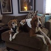 Gail Thomssen's photo