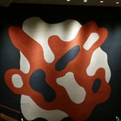 Jed Adogla's photo