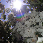 Matthew Riddett's photo