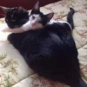 Anna Ashley's photo
