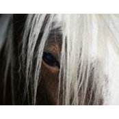 Nannette Bryer's photo