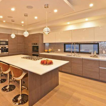 Modern Kitchen in Los Angeles