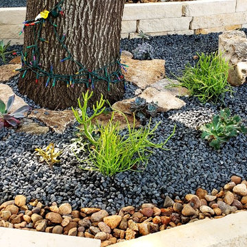 Low Maintenance landscape