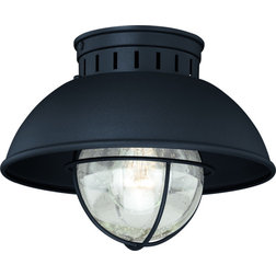 Beach Style Outdoor Flush-mount Ceiling Lighting by Vaxcel