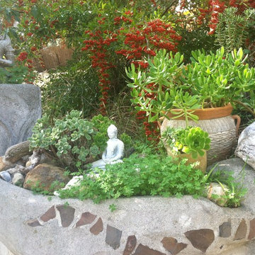 Succulent Designs